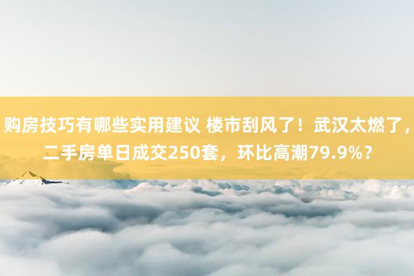 购房技巧有哪些实用建议 楼市刮风了！武汉太燃了，二手房单日成交250套，环比高潮79.9%？