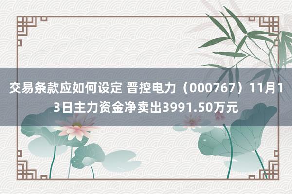 交易条款应如何设定 晋控电力（000767）11月13日主力资金净卖出3991.50万元