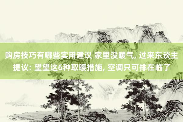 购房技巧有哪些实用建议 家里没暖气, 过来东谈主提议: 望望这6种取暖措施, 空调只可排在临了