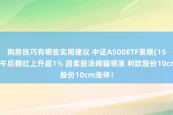 购房技巧有哪些实用建议 中证A500ETF景顺(159353)午后翻红上升超1% 因素股汤姆猫领涨 利欧股份10cm涨停！