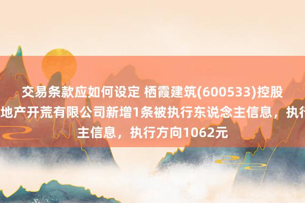 交易条款应如何设定 栖霞建筑(600533)控股的南京星汇房地产开荒有限公司新增1条被执行东说念主信息，执行方向1062元