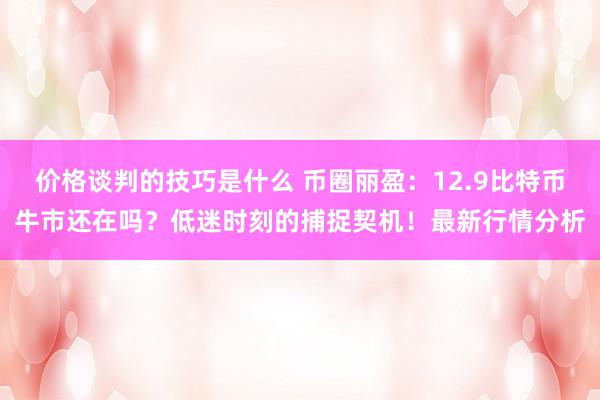 价格谈判的技巧是什么 币圈丽盈：12.9比特币牛市还在吗？低迷时刻的捕捉契机！最新行情分析