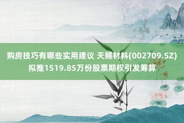 购房技巧有哪些实用建议 天赐材料(002709.SZ)拟推1519.85万份股票期权引发筹算