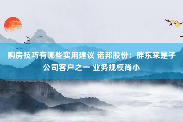 购房技巧有哪些实用建议 诺邦股份：胖东来是子公司客户之一 业务规模尚小