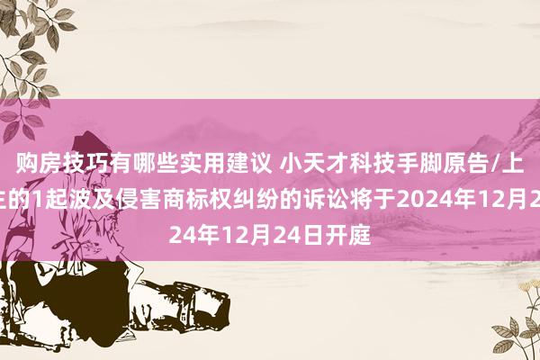 购房技巧有哪些实用建议 小天才科技手脚原告/上诉东谈主的1起波及侵害商标权纠纷的诉讼将于2024年12月24日开庭