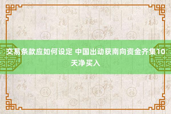 交易条款应如何设定 中国出动获南向资金齐集10天净买入