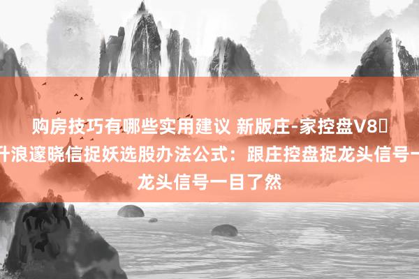 购房技巧有哪些实用建议 新版庄-家控盘V8​擒龙主升浪邃晓信捉妖选股办法公式：跟庄控盘捉龙头信号一目了然