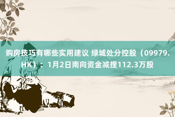 购房技巧有哪些实用建议 绿城处分控股（09979.HK）：1月2日南向资金减捏112.3万股