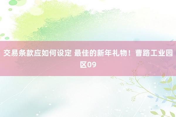 交易条款应如何设定 最佳的新年礼物！曹路工业园区09