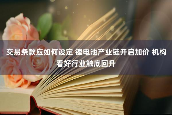 交易条款应如何设定 锂电池产业链开启加价 机构看好行业触底回升