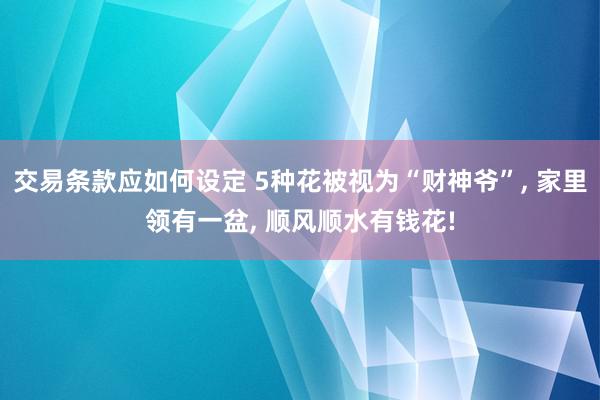 交易条款应如何设定 5种花被视为“财神爷”, 家里领有一盆, 顺风顺水有钱花!