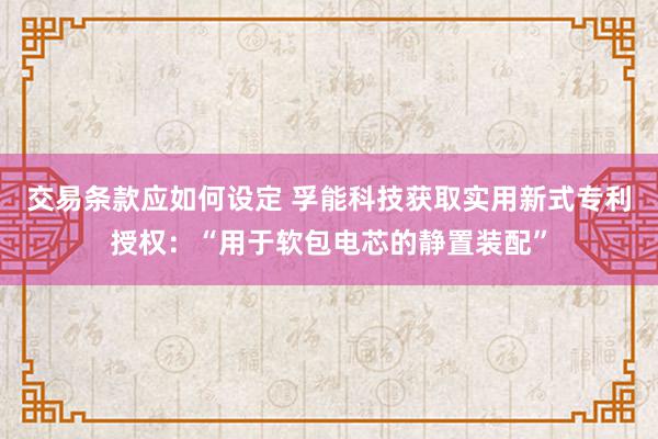 交易条款应如何设定 孚能科技获取实用新式专利授权：“用于软包电芯的静置装配”