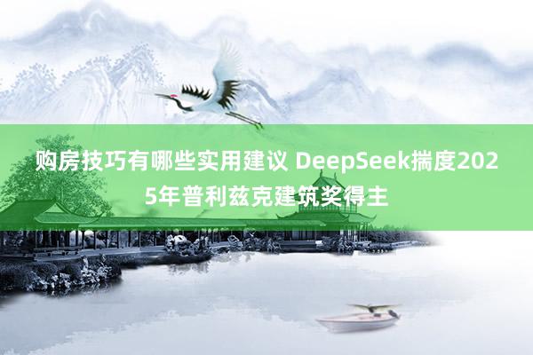 购房技巧有哪些实用建议 DeepSeek揣度2025年普利兹克建筑奖得主