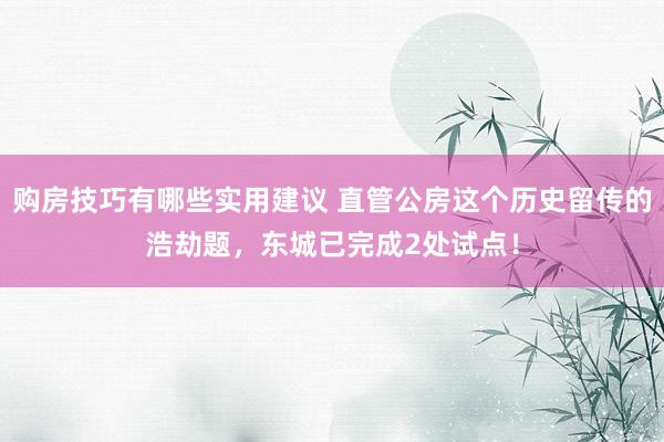 购房技巧有哪些实用建议 直管公房这个历史留传的浩劫题，东城已完成2处试点！