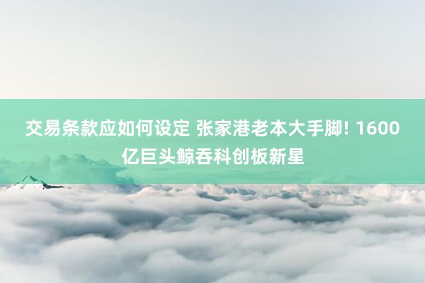 交易条款应如何设定 张家港老本大手脚! 1600亿巨头鲸吞科创板新星