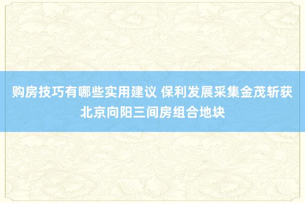 购房技巧有哪些实用建议 保利发展采集金茂斩获北京向阳三间房组合地块