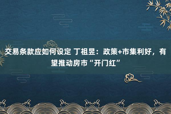 交易条款应如何设定 丁祖昱：政策+市集利好，有望推动房市“开门红”