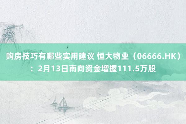 购房技巧有哪些实用建议 恒大物业（06666.HK）：2月13日南向资金增握111.5万股