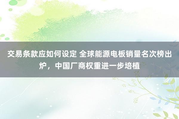 交易条款应如何设定 全球能源电板销量名次榜出炉，中国厂商权重进一步培植