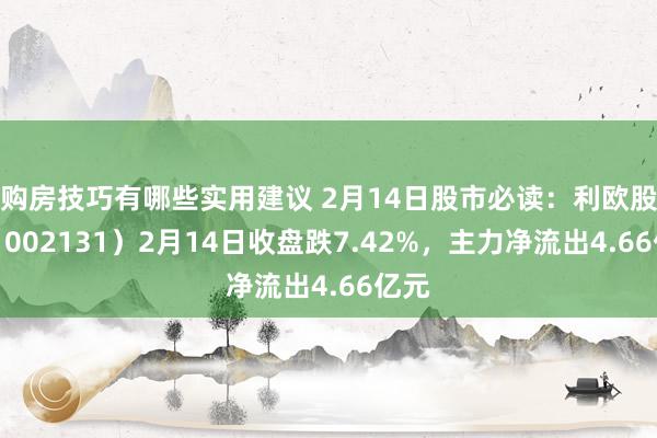 购房技巧有哪些实用建议 2月14日股市必读：利欧股份（002131）2月14日收盘跌7.42%，主力净流出4.66亿元