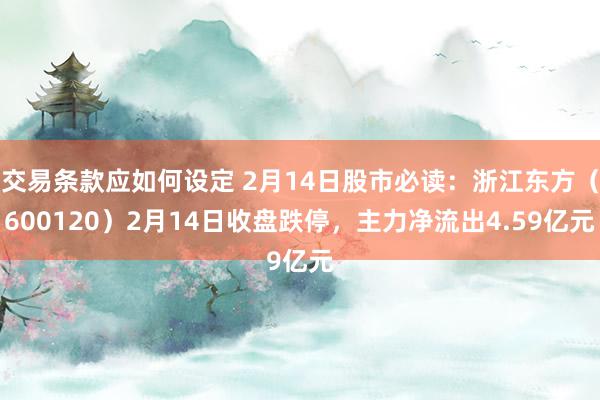 交易条款应如何设定 2月14日股市必读：浙江东方（600120）2月14日收盘跌停，主力净流出4.59亿元