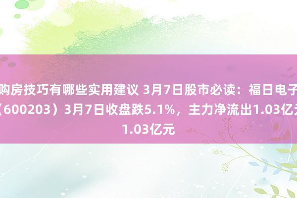 购房技巧有哪些实用建议 3月7日股市必读：福日电子（600203）3月7日收盘跌5.1%，主力净流出1.03亿元